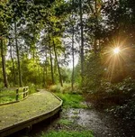 Wandelen door natuurgebied in Aalst